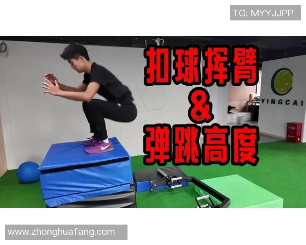 排球运动员扣球点高度对得分成功率的影响及其建模分析 排球运动员扣球点高度对得分成功率的影响及其建模分析